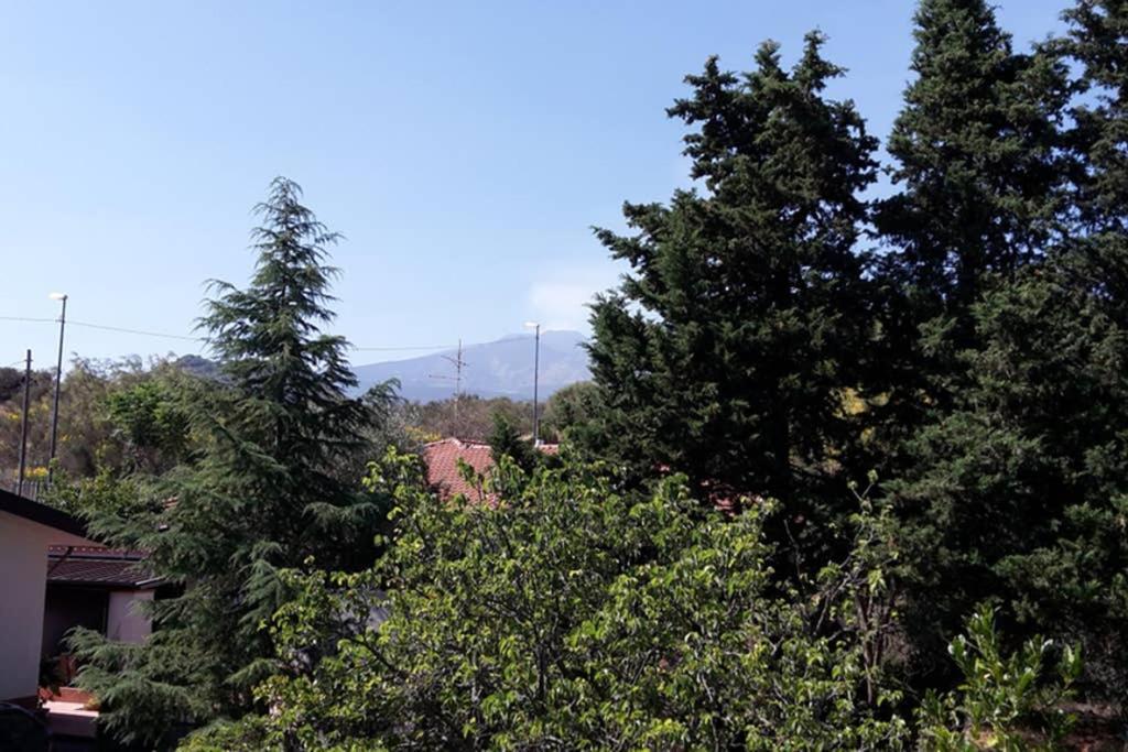 Villa Etnafamilyhouse Pedara Esterno foto